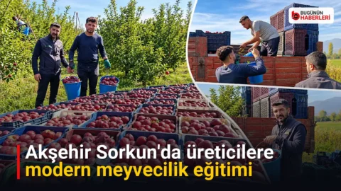 Akşehir Sorkun’da üreticilere modern meyvecilik eğitimi
