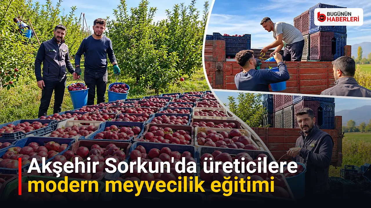 Akşehir Sorkun’da üreticilere modern meyvecilik eğitimi
