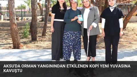 Aksu’da orman yangınından etkilenen Kopi yeni yuvasına kavuştu