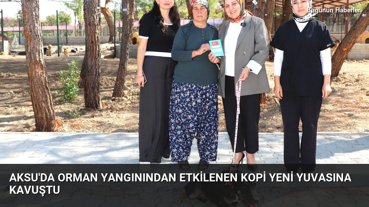 Aksu’da orman yangınından etkilenen Kopi yeni yuvasına kavuştu