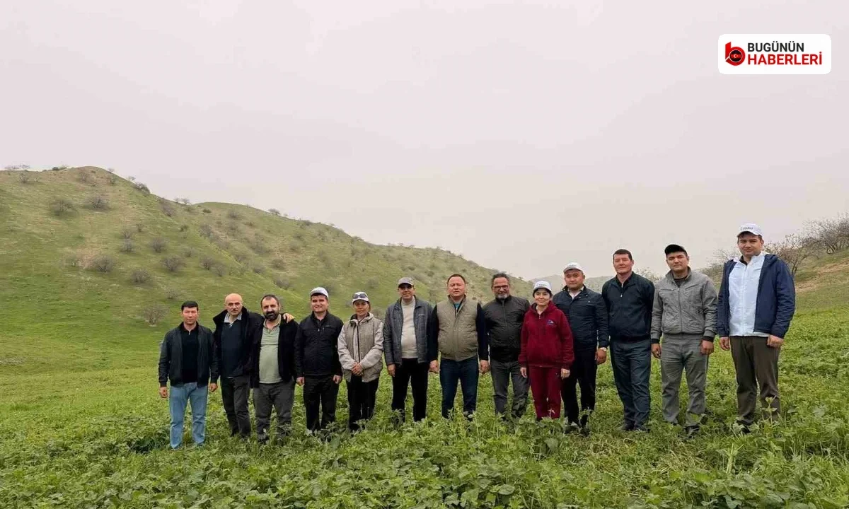 Antep fıstığı projesine TÜBİTAK desteği: KBÜ’lü akademisyenler görev üstlenecek