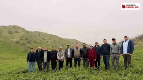 Antep fıstığı projesine TÜBİTAK desteği: KBÜ’lü akademisyenler görev üstlenecek