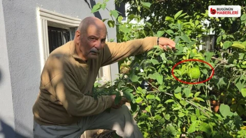 Atakum’da emekli öğretmen: 50 ülkeden tohum getirdi