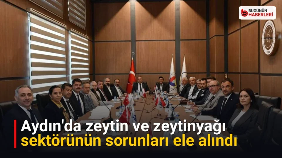 Aydın'da zeytin ve zeytinyağı sektörünün sorunları ele alındı