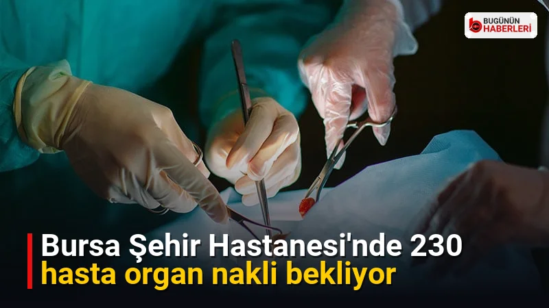 Bursa Şehir Hastanesi’nde 230 hasta organ nakli bekliyor