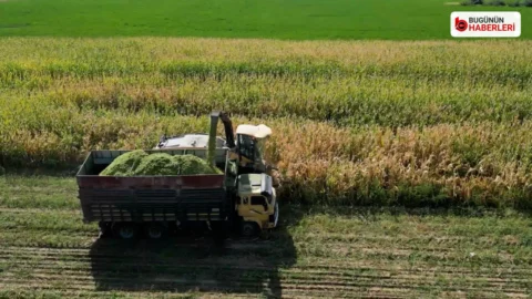 Bursa tarımı için hazırlanan raporda dört temel sorun sıralandı