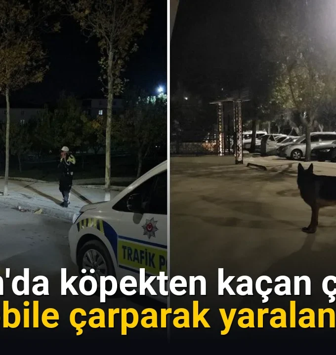 Çorum'da köpekten kaçan çocuk otomobile çarparak yaralandı