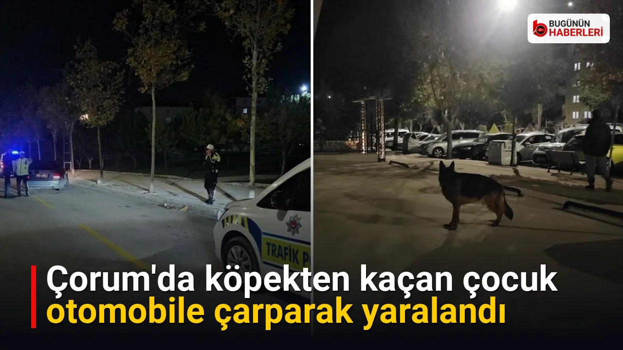 Çorum’da köpekten kaçan çocuk otomobile çarparak yaralandı