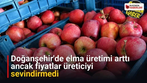 Doğanşehir’de elma üretimi arttı ancak fiyatlar üreticiyi sevindirmedi