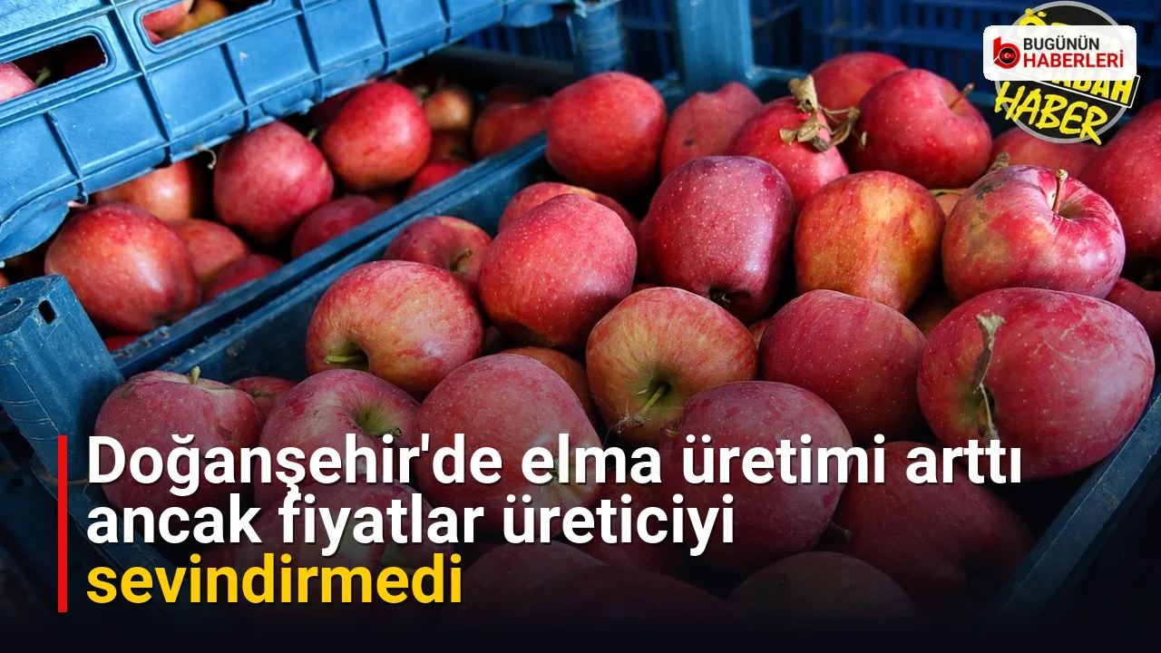 Doğanşehir’de elma üretimi arttı ancak fiyatlar üreticiyi sevindirmedi