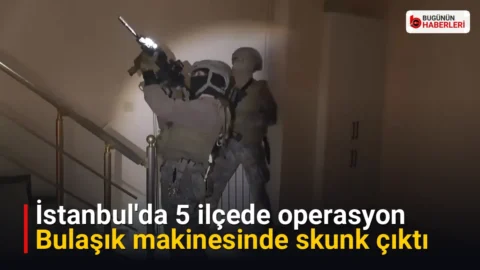 İstanbul’da 5 ilçede operasyon: Bulaşık makinesinde skunk çıktı