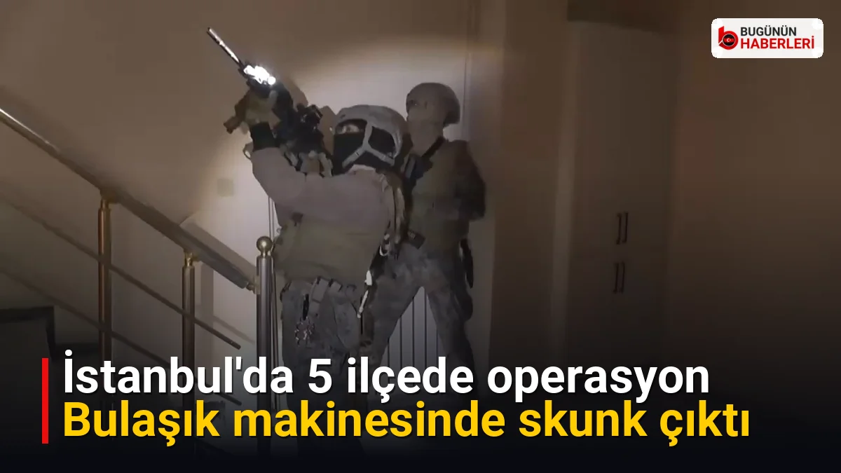 İstanbul’da 5 ilçede operasyon: Bulaşık makinesinde skunk çıktı