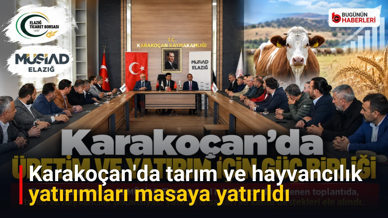 Karakoçan’da tarım ve hayvancılık yatırımları masaya yatırıldı