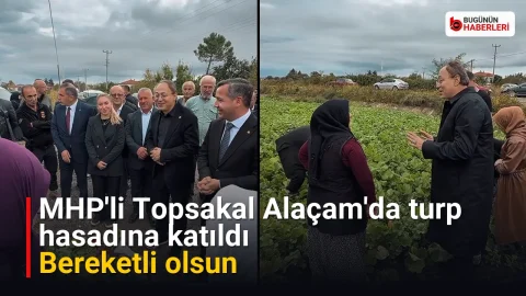 MHP’li Topsakal Alaçam’da turp hasadına katıldı: Bereketli olsun