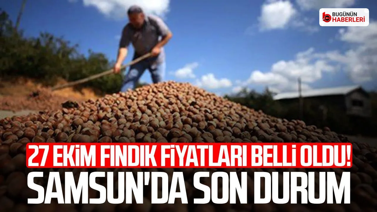 Samsun’da 27 Ekim fındık fiyatları: Yağlı ve Levant rakamları açıklandı