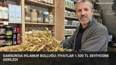Samsun’da ıhlamur bolluğu: Fiyatlar 1.500 TL seviyesine geriledi