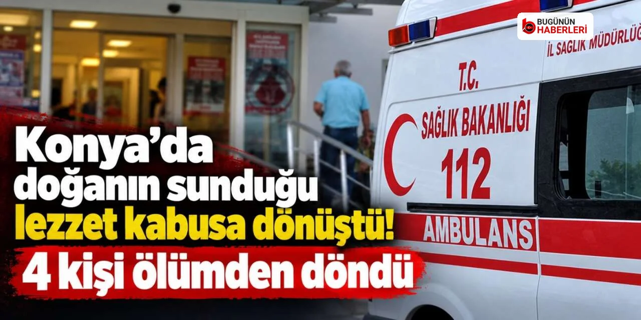 Seydişehir’de mantar zehirlenmesi: 4 kişi hastaneye kaldırıldı
