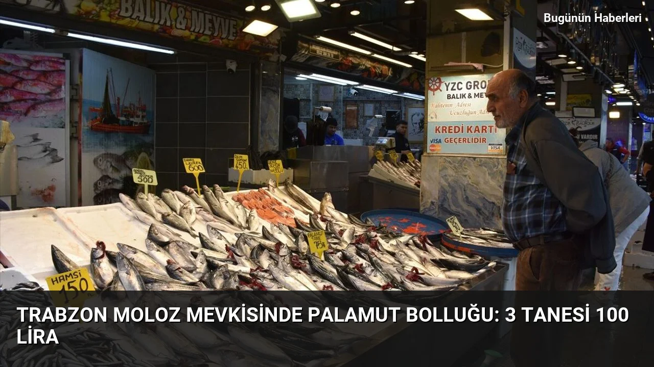 Trabzon Moloz mevkisinde palamut bolluğu: 3 tanesi 100 lira